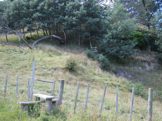 Strachan's Cave entrance